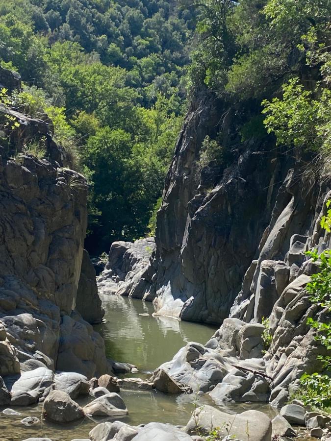 مبيت وإفطار أرشيدوسو La Colombaia Amiata المظهر الخارجي الصورة